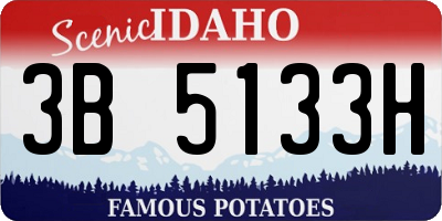 ID license plate 3B5133H
