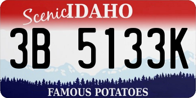 ID license plate 3B5133K