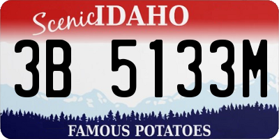 ID license plate 3B5133M