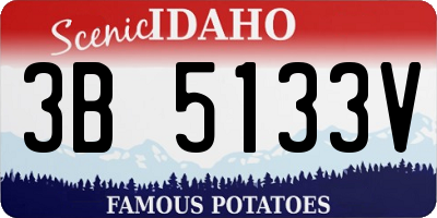 ID license plate 3B5133V