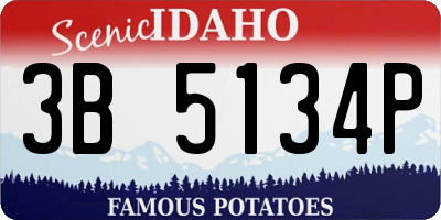 ID license plate 3B5134P