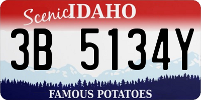 ID license plate 3B5134Y