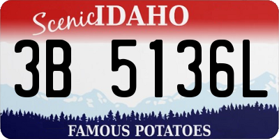 ID license plate 3B5136L