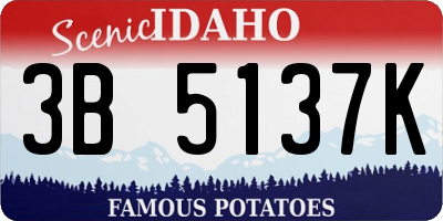 ID license plate 3B5137K