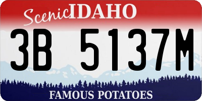 ID license plate 3B5137M
