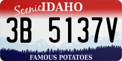 ID license plate 3B5137V
