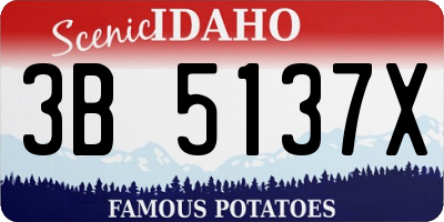 ID license plate 3B5137X