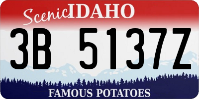 ID license plate 3B5137Z