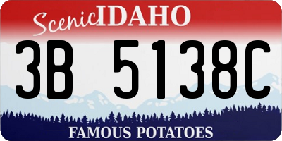 ID license plate 3B5138C