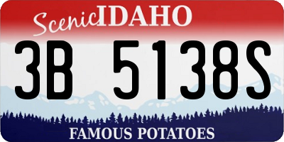 ID license plate 3B5138S