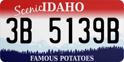 ID license plate 3B5139B