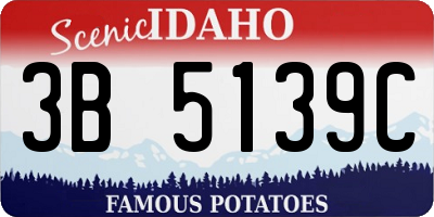 ID license plate 3B5139C