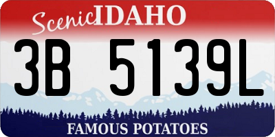 ID license plate 3B5139L