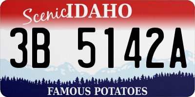 ID license plate 3B5142A