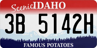 ID license plate 3B5142H