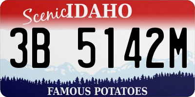 ID license plate 3B5142M