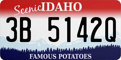 ID license plate 3B5142Q