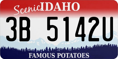 ID license plate 3B5142U