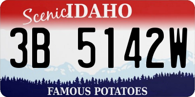 ID license plate 3B5142W