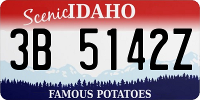 ID license plate 3B5142Z