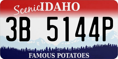 ID license plate 3B5144P