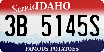ID license plate 3B5145S