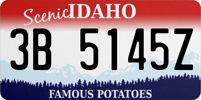 ID license plate 3B5145Z