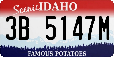 ID license plate 3B5147M