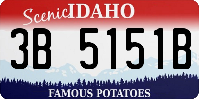 ID license plate 3B5151B