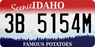 ID license plate 3B5154M