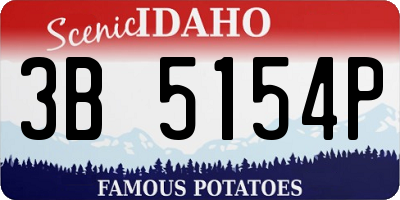 ID license plate 3B5154P