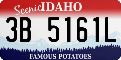 ID license plate 3B5161L
