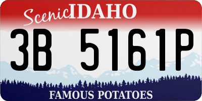 ID license plate 3B5161P