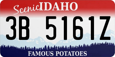 ID license plate 3B5161Z