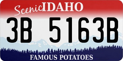 ID license plate 3B5163B