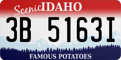 ID license plate 3B5163I