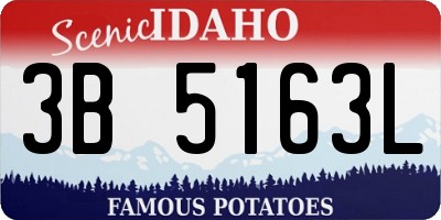 ID license plate 3B5163L