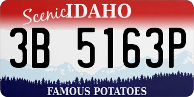 ID license plate 3B5163P
