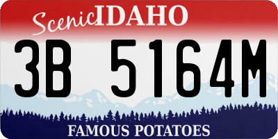 ID license plate 3B5164M