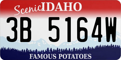 ID license plate 3B5164W