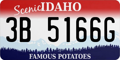 ID license plate 3B5166G