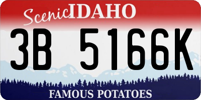 ID license plate 3B5166K