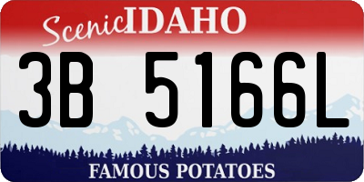 ID license plate 3B5166L