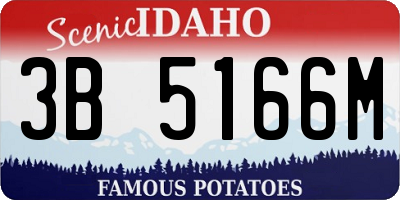 ID license plate 3B5166M