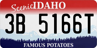 ID license plate 3B5166T