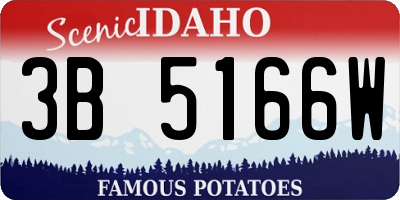 ID license plate 3B5166W