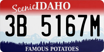 ID license plate 3B5167M