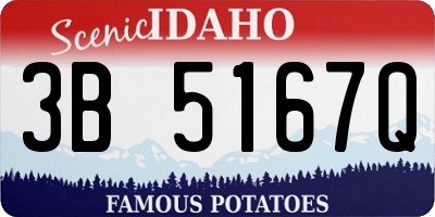 ID license plate 3B5167Q