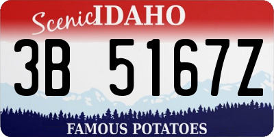 ID license plate 3B5167Z