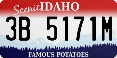 ID license plate 3B5171M